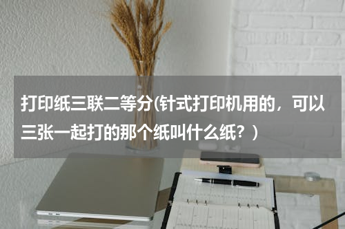 打印纸三联二等分(针式打印机用的，可以三张一起打的那个纸叫什么纸？)