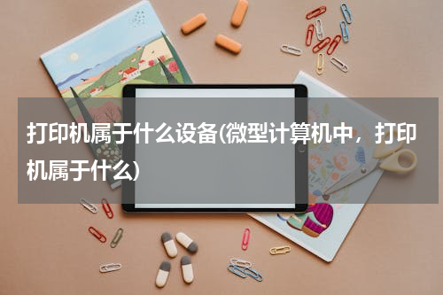 打印机属于什么设备(微型计算机中，打印机属于什么)