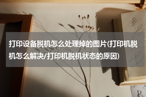 打印设备脱机怎么处理掉的图片(打印机脱机怎么解决/打印机脱机状态的原因)