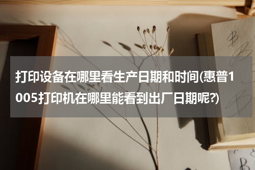 打印设备在哪里看生产日期和时间(惠普1005打印机在哪里能看到出厂日期呢?)