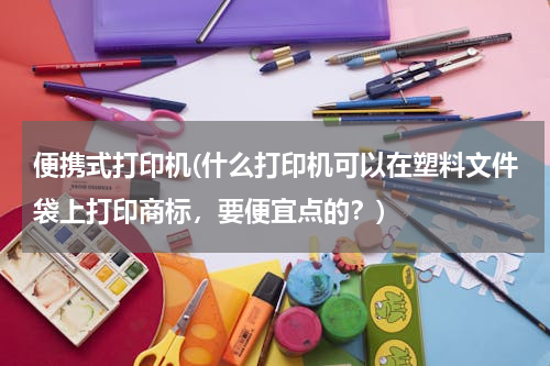 便携式打印机(什么打印机可以在塑料文件袋上打印商标，要便宜点的？)