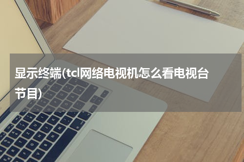 显示终端(tcl网络电视机怎么看电视台节目)