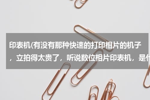 印表机(有没有那种快速的打印相片的机子，立拍得太贵了，听说数位相片印表机，是什么东东。求推荐)