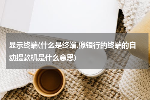 显示终端(什么是终端,像银行的终端的自动提款机是什么意思)