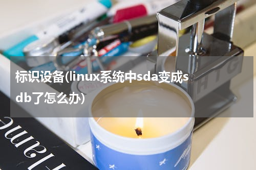 标识设备(linux系统中sda变成sdb了怎么办)