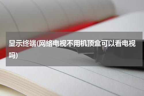 显示终端(网络电视不用机顶盒可以看电视吗)