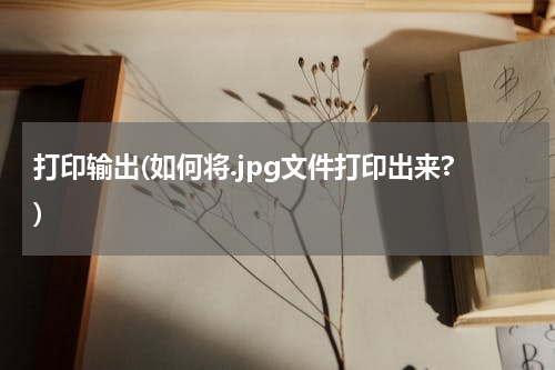 打印输出(如何将.jpg文件打印出来?)