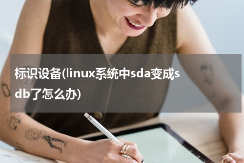 标识设备(linux系统中sda变成sdb了怎么办)