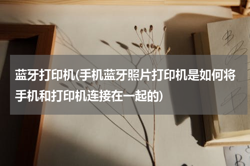 蓝牙打印机(手机蓝牙照片打印机是如何将手机和打印机连接在一起的)