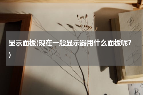 显示面板(现在一般显示器用什么面板呢？)