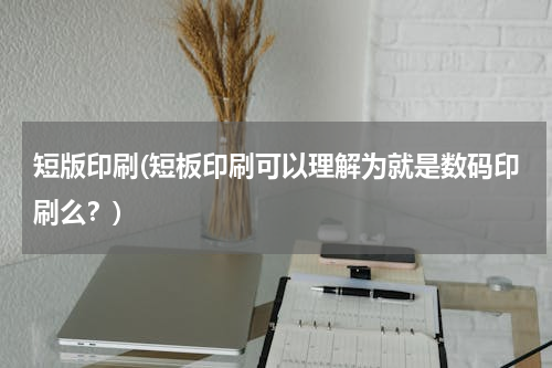 短版印刷(短板印刷可以理解为就是数码印刷么？)