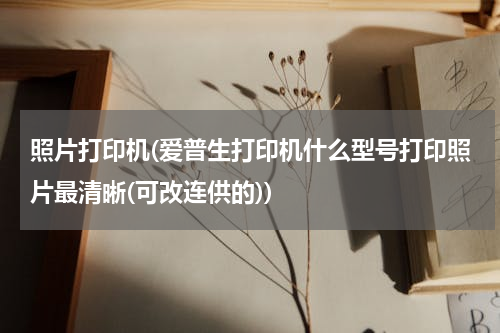 照片打印机(爱普生打印机什么型号打印照片最清晰(可改连供的))