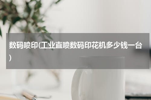 数码喷印(工业直喷数码印花机多少钱一台)