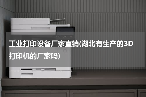 工业打印设备厂家直销(湖北有生产的3D打印机的厂家吗)