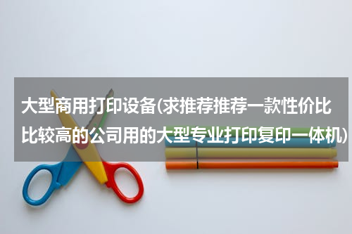 大型商用打印设备(求推荐推荐一款性价比比较高的公司用的大型专业打印复印一体机)