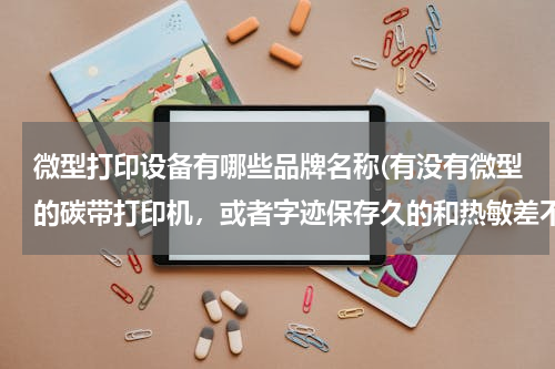 微型打印设备有哪些品牌名称(有没有微型的碳带打印机，或者字迹保存久的和热敏差不多大的打印机？)