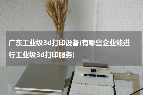 广东工业级3d打印设备(有哪些企业能进行工业级3d打印服务)