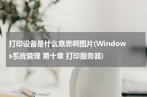 打印设备是什么意思啊图片(Windows系统管理 第十章 打印服务器)