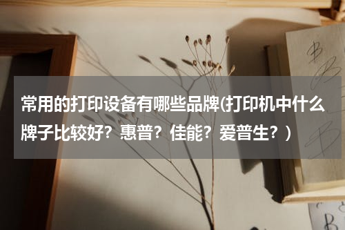 常用的打印设备有哪些品牌(打印机中什么牌子比较好？惠普？佳能？爱普生？)