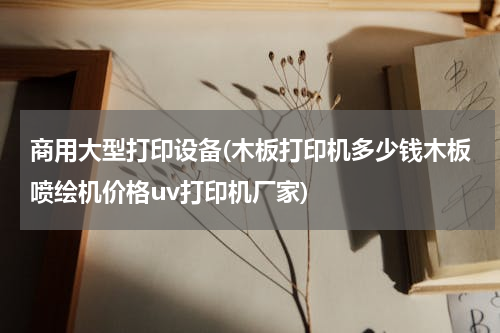 商用大型打印设备(木板打印机多少钱木板喷绘机价格uv打印机厂家)