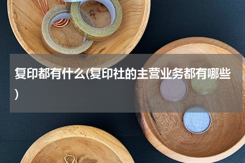 复印都有什么(复印社的主营业务都有哪些)