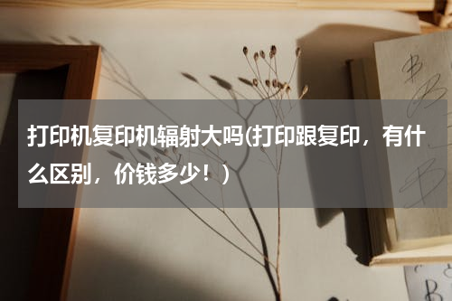 打印机复印机辐射大吗(打印跟复印，有什么区别，价钱多少！)